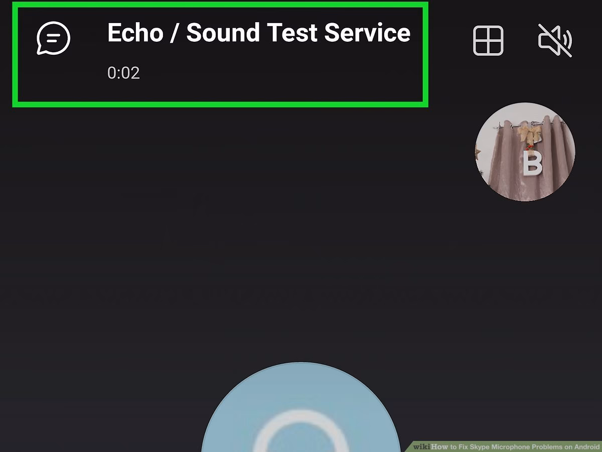 How to enable Skype mic access?