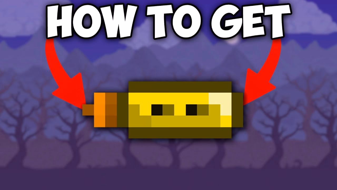 How do you get an aglet?