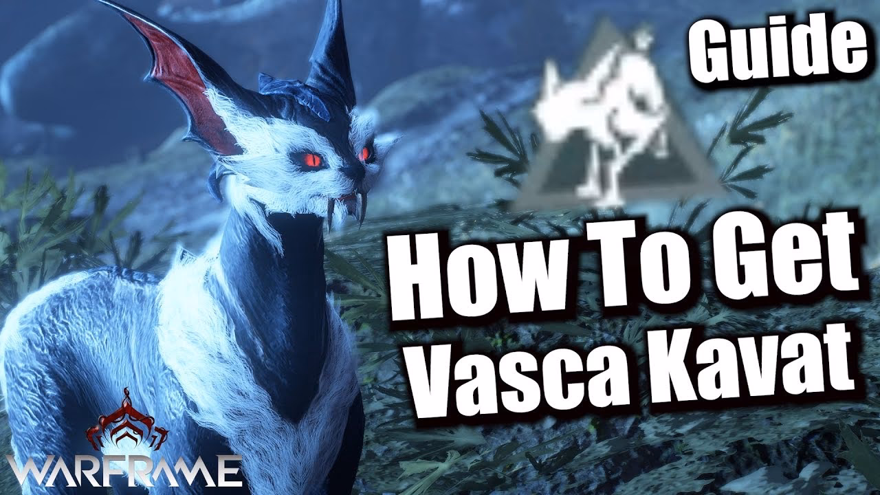 Are Kavats rare?
