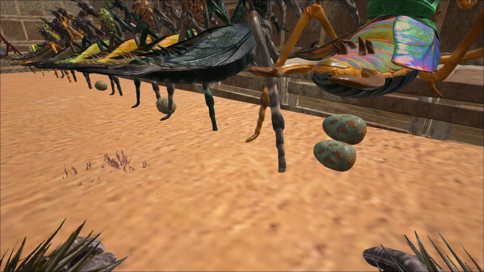 How do you tame a mantis in Ark Survival Evolved?
