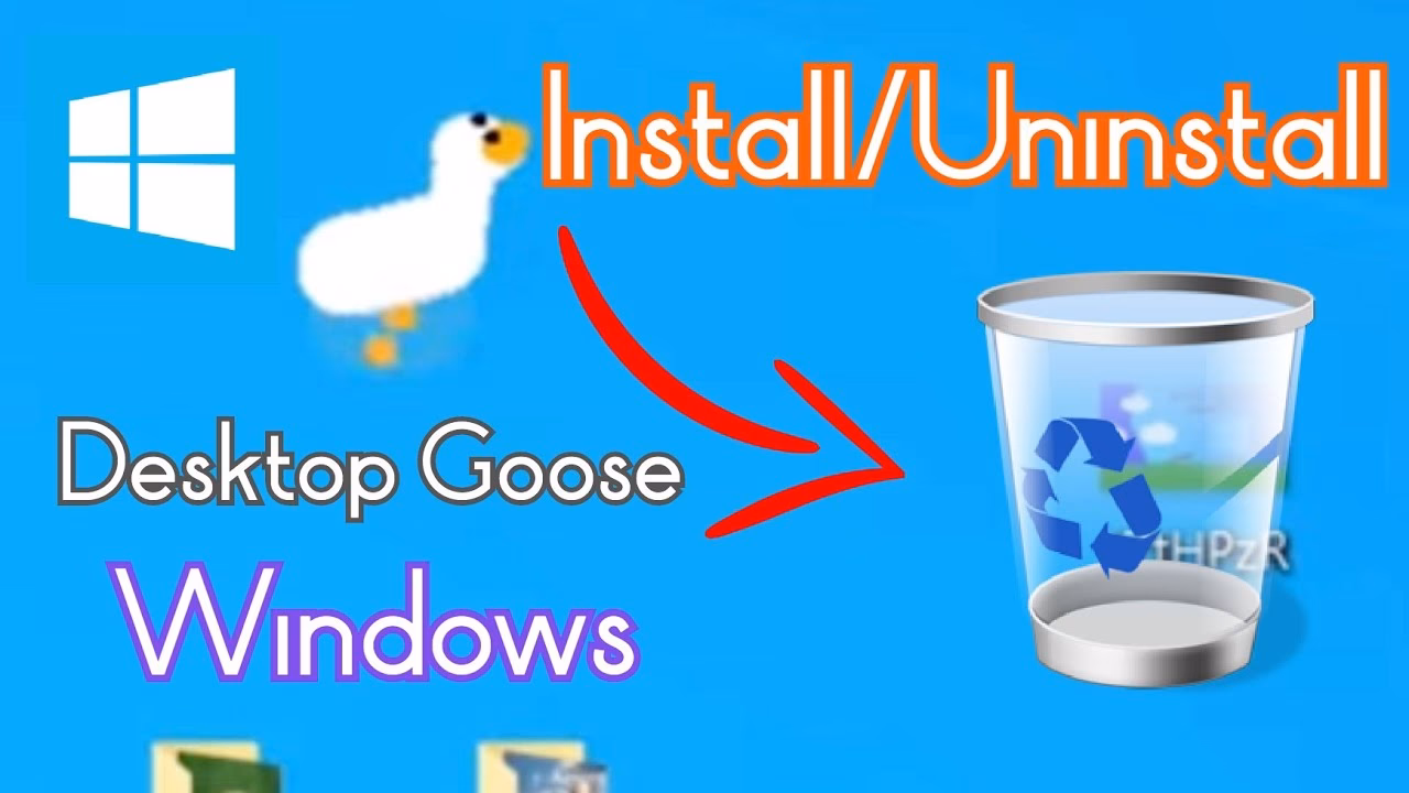 What do you do with a goose?