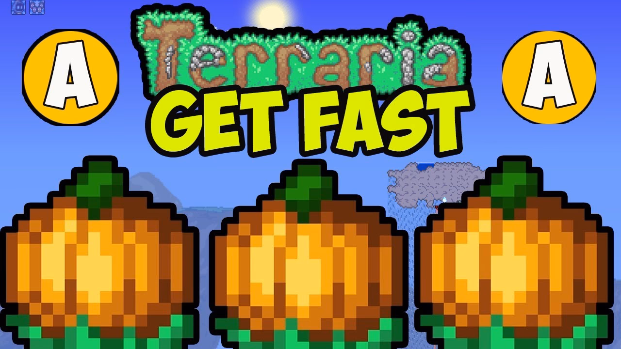 How do pumpkins grow?