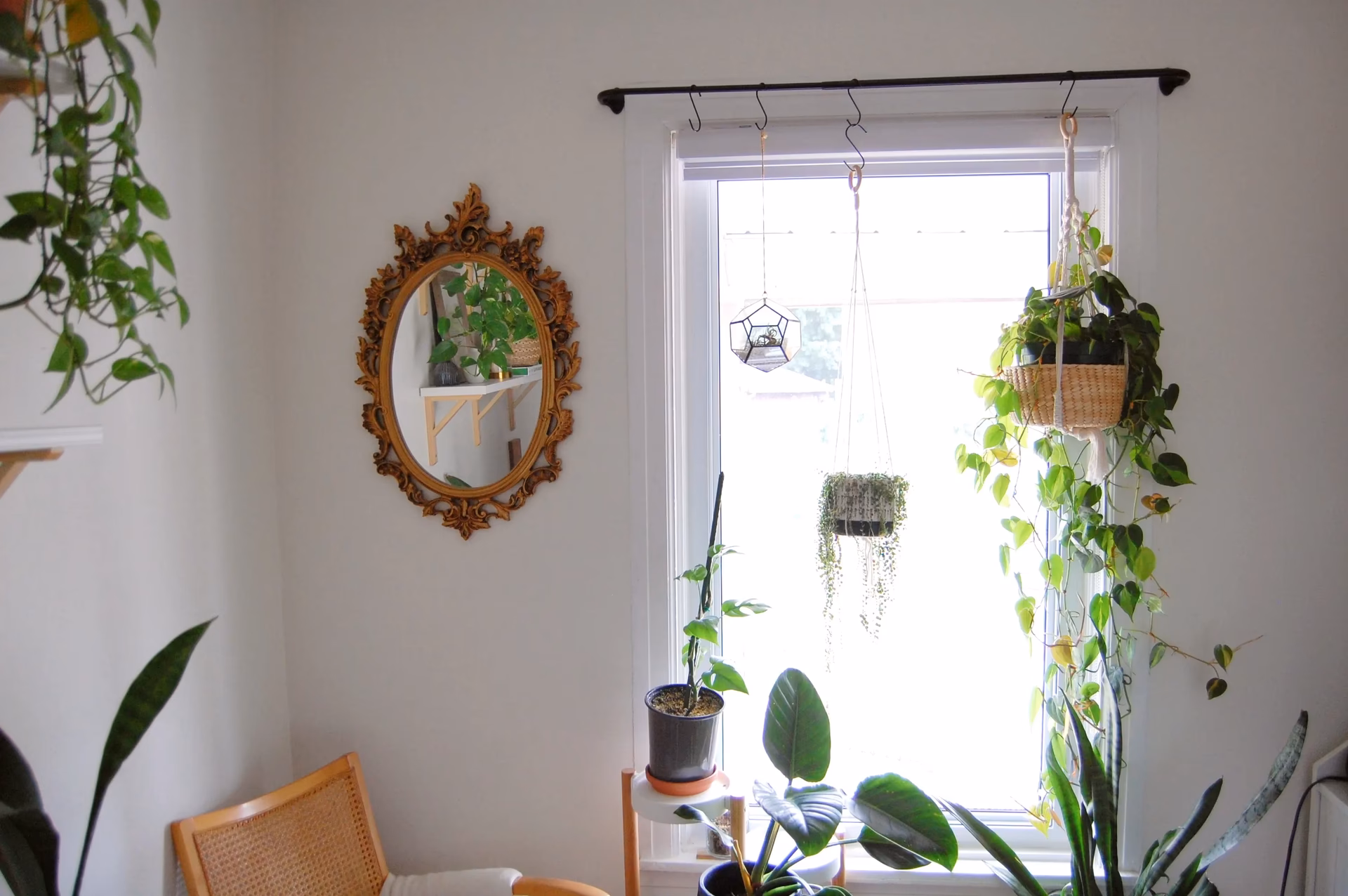 Can you use a wood round to hang a planter?