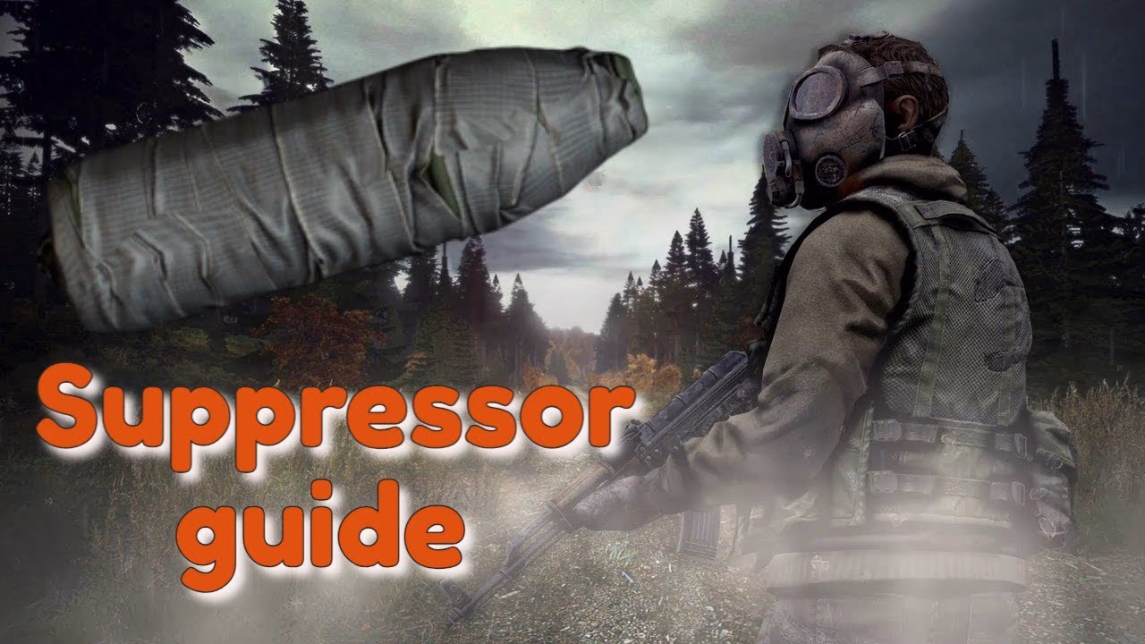 What is a standard suppressor in DayZ?