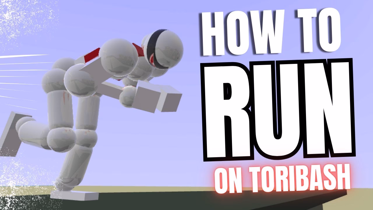What is Toribash?