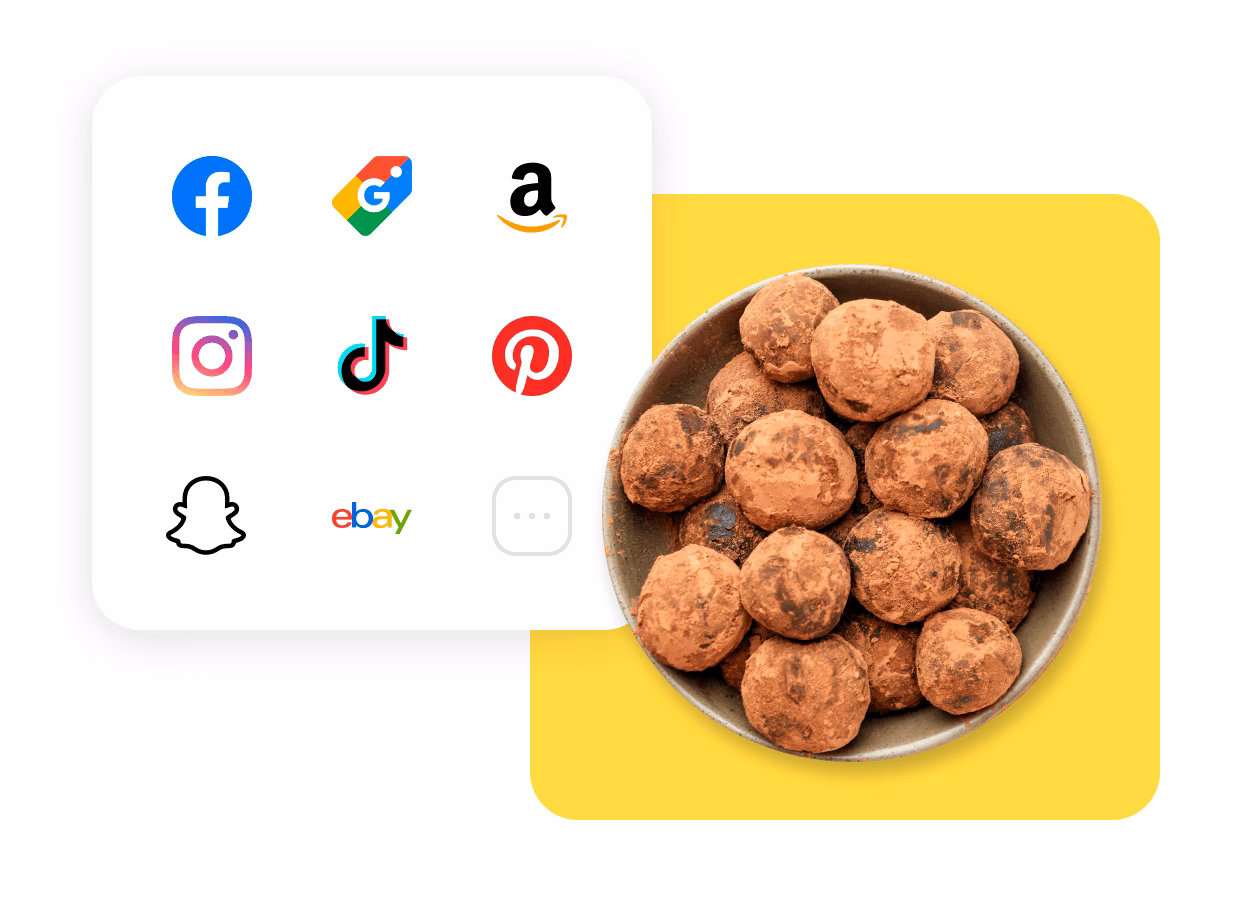 Where can I buy fresh truffles?