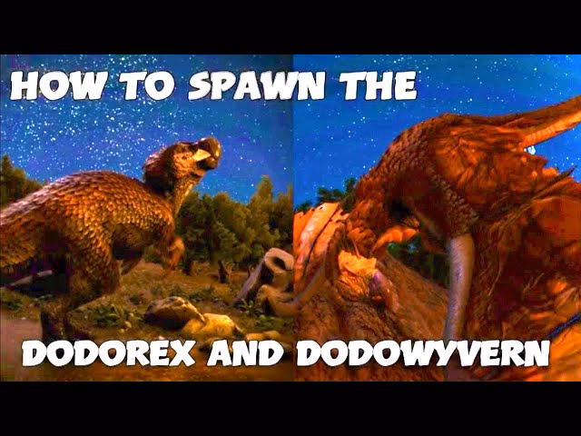 When does the dodorex spawn?