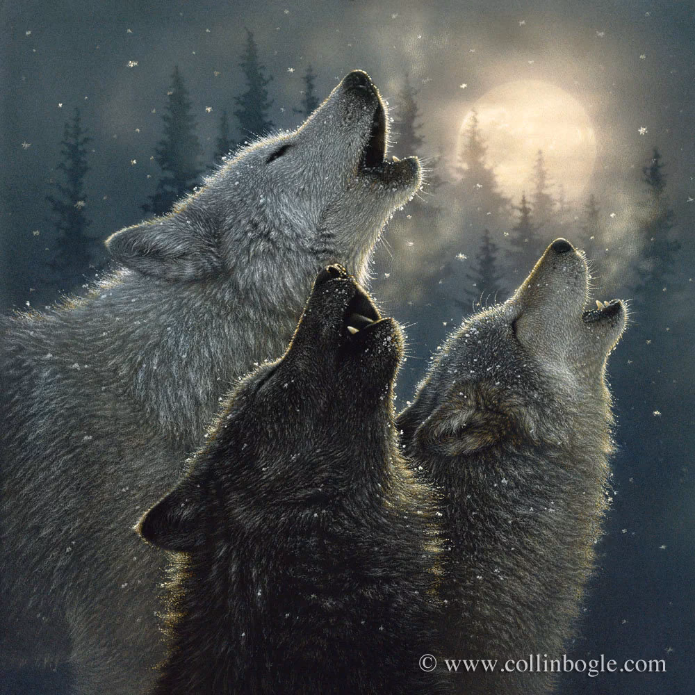 What is an example of a wolf howl?