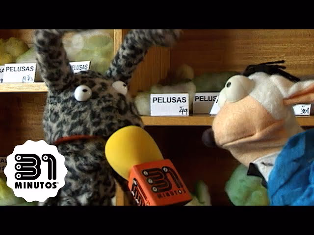 ¿Por qué Mario Hugo desarmó la colección de pelusas?