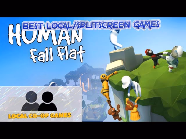 Does human fall flat support local coop?
