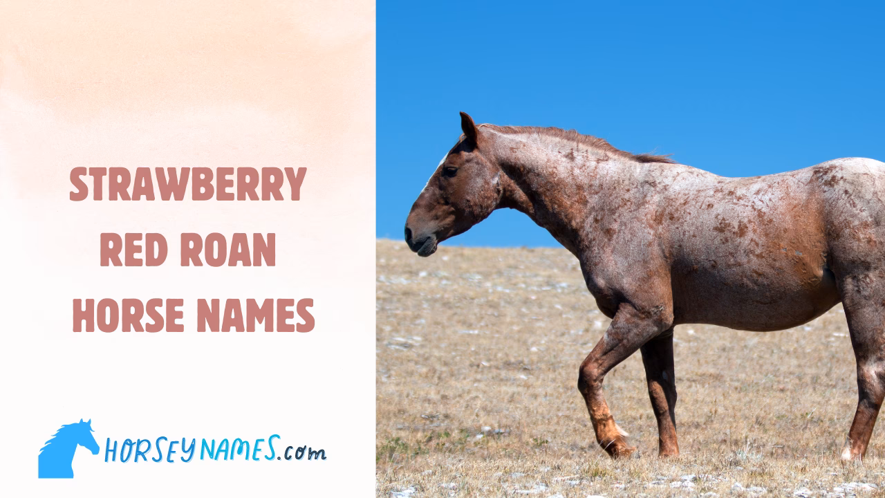 What are the most common Hungarian names?