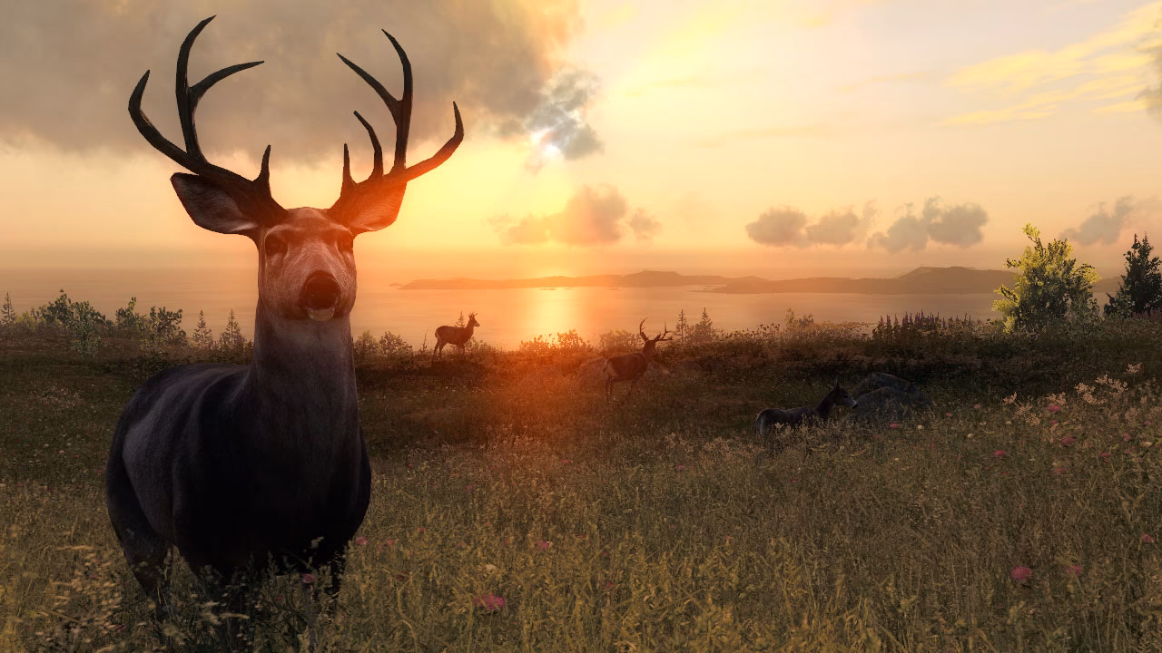 What is the most realistic online hunting game ever created?