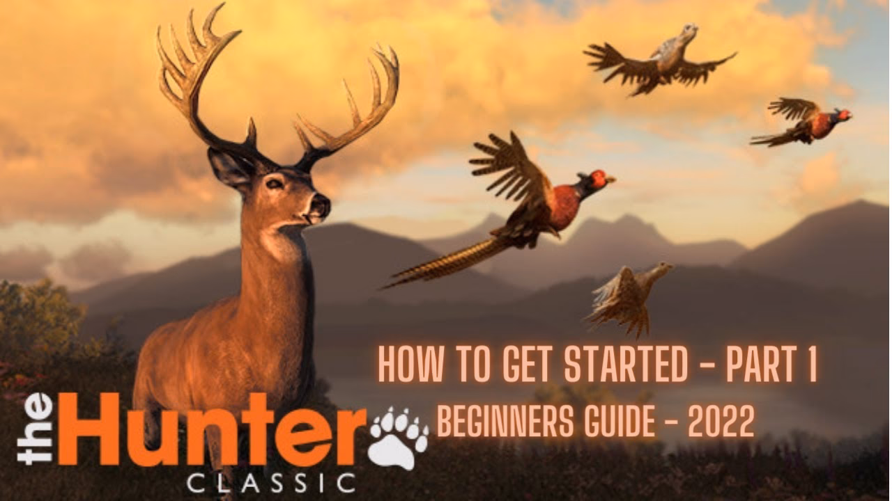 How do I play the Hunter?