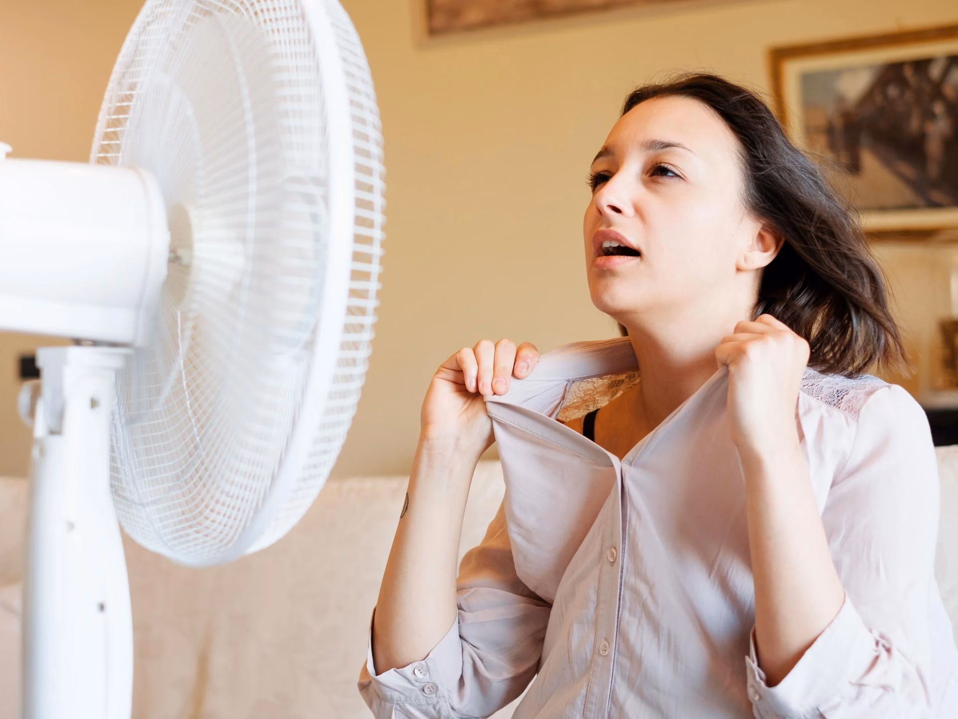 Why do people hate summer heat?
