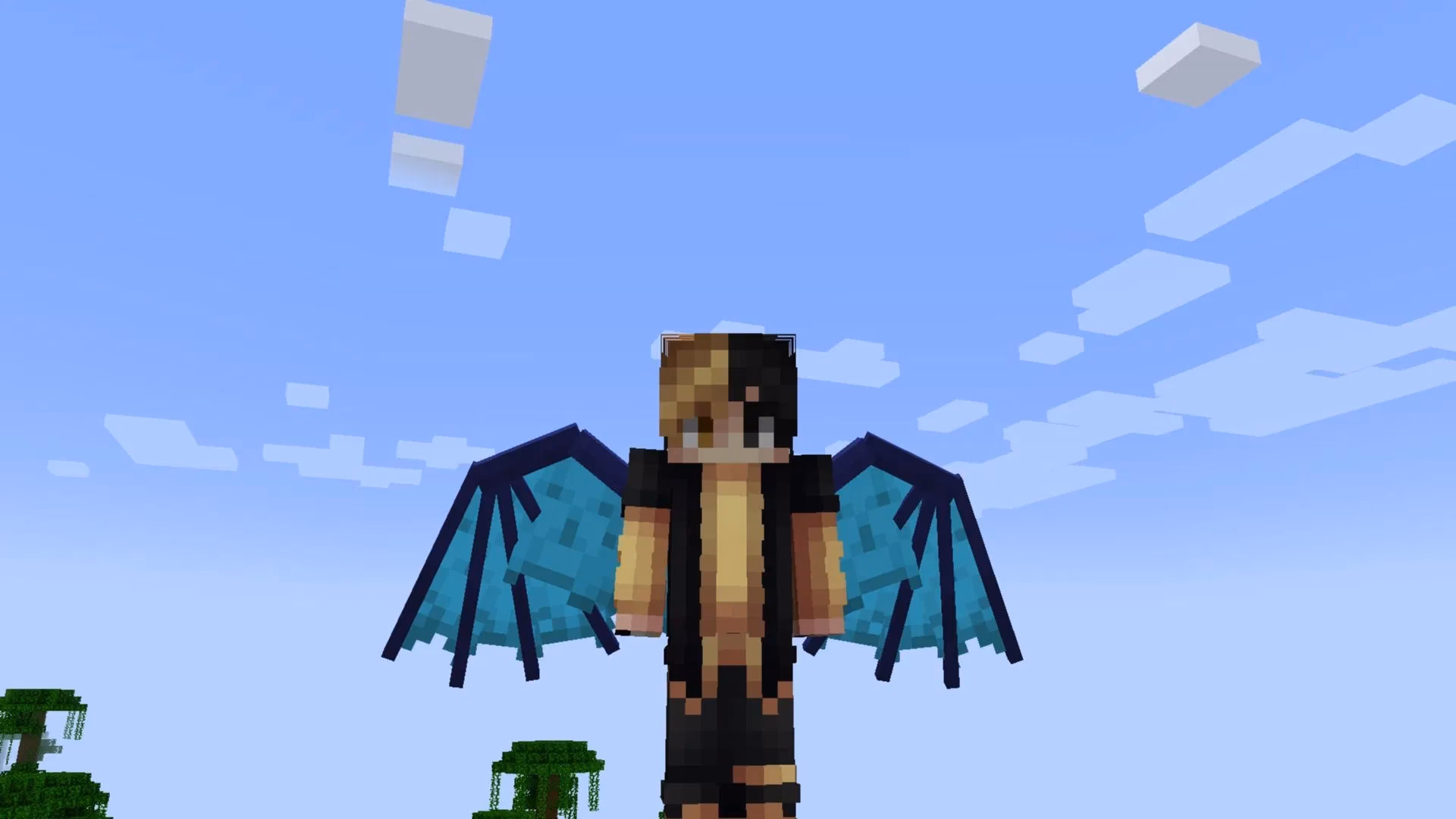 What does Icarus add?