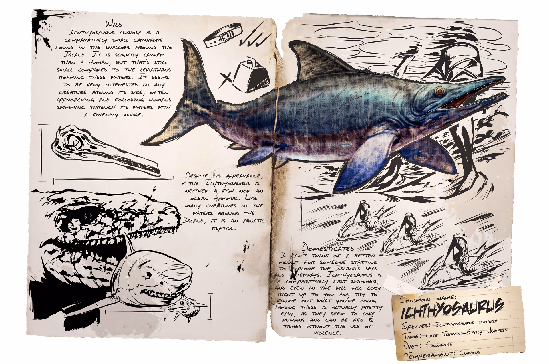 ¿Qué hace el ichthy para explorar los océanos de Ark?