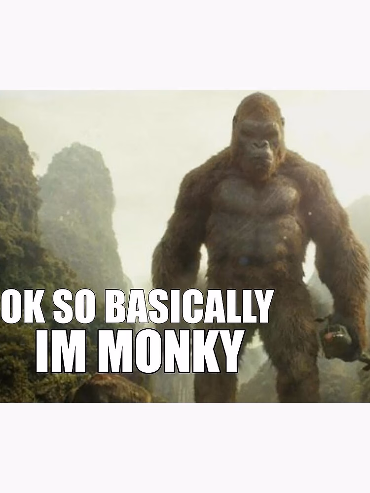 Where did the 'Ok So basically I'm Monky' meme come from?