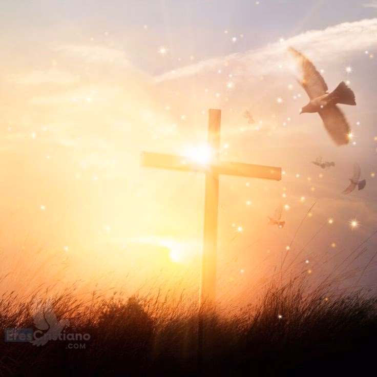 ¿Cómo podemos sintetizar nuestra imagen de Dios?