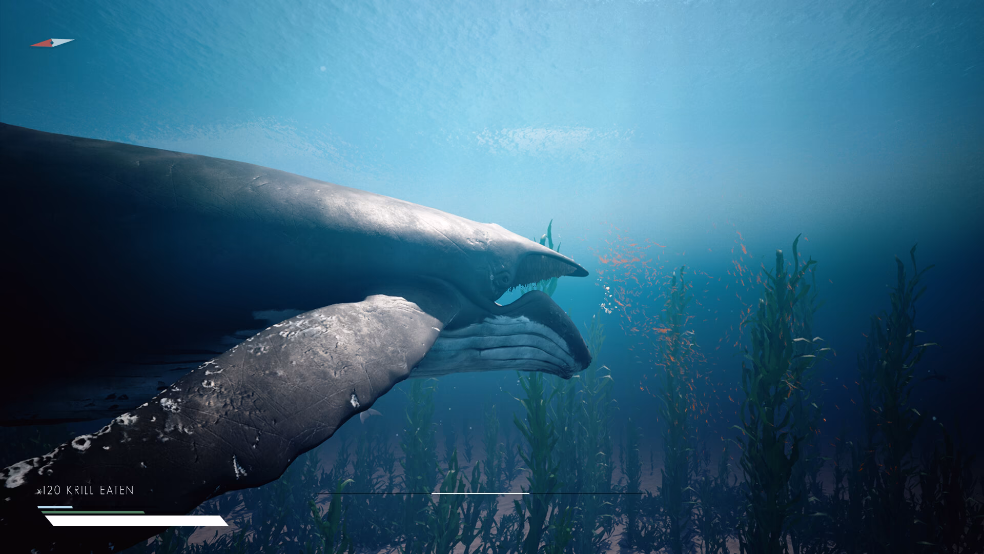 Is infinite blue available on Steam?