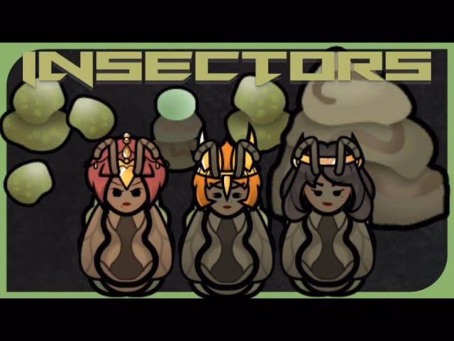 ¿Cuál fue la evolución de los insectores?