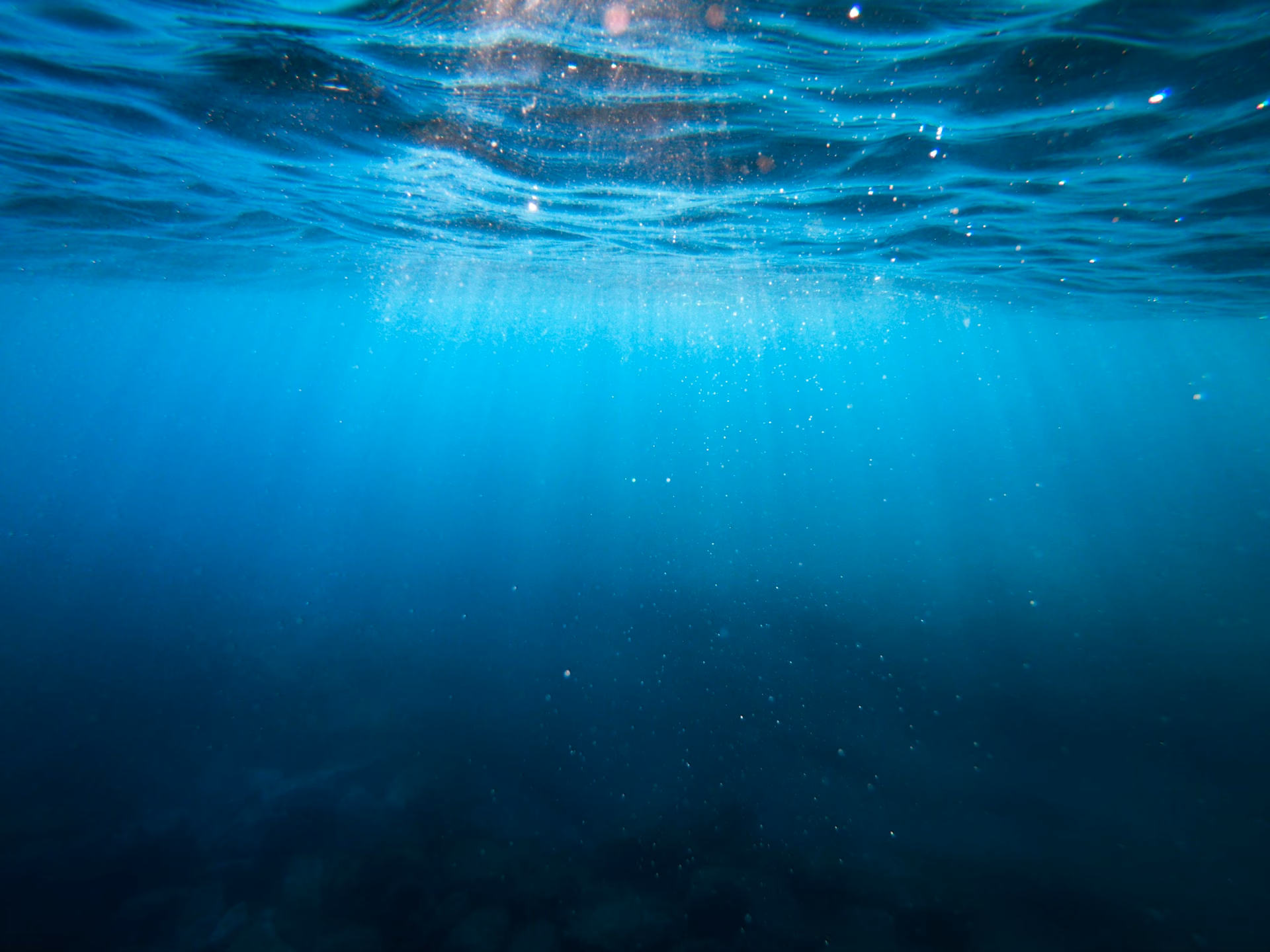 What is inside water?