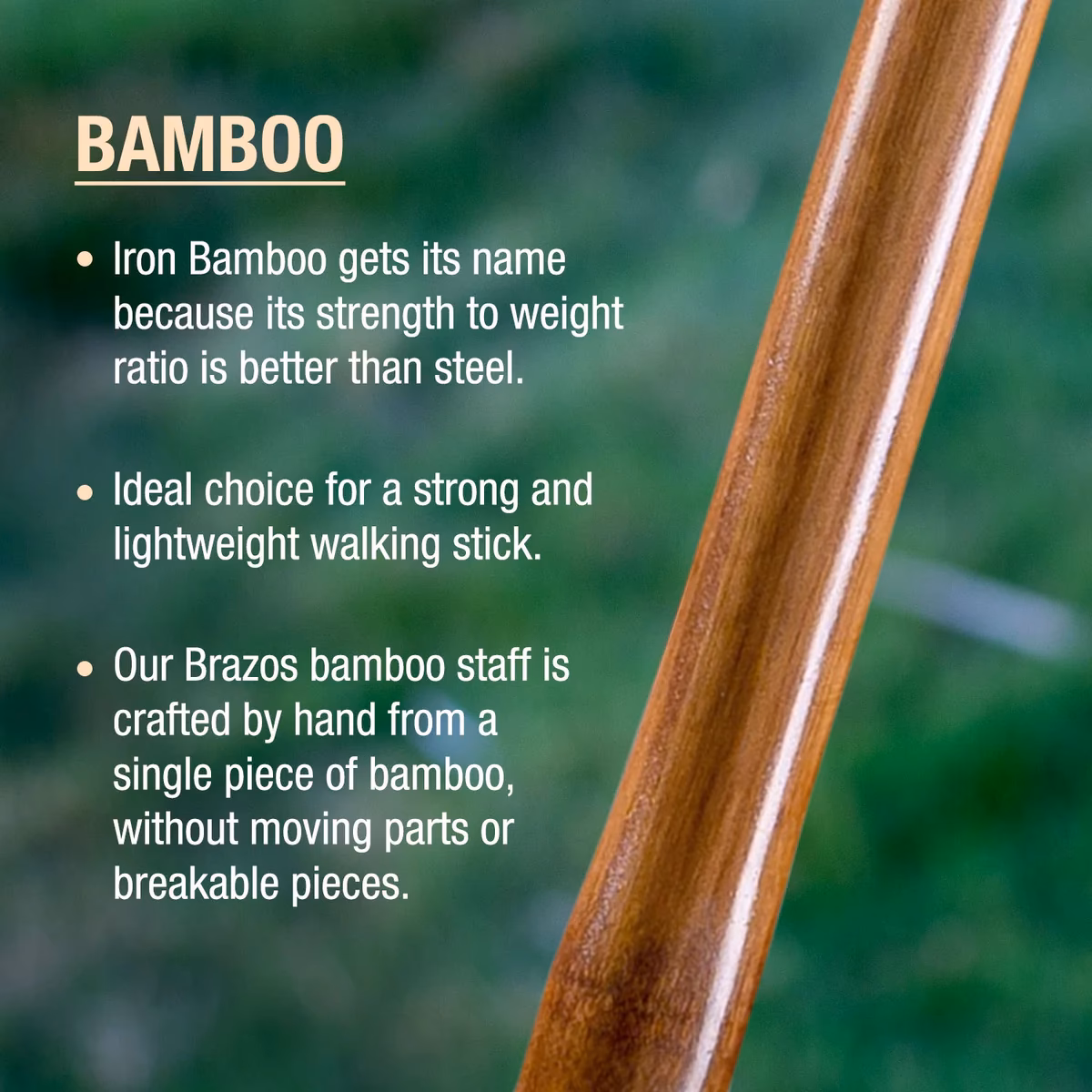 Where does iron bamboo originate from?