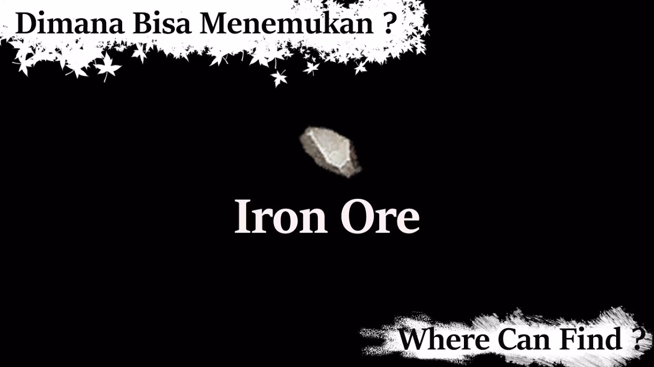 Where can I find iron?