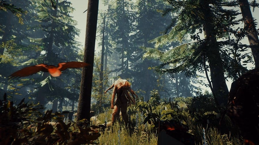 Does the forest support cross-platform play?