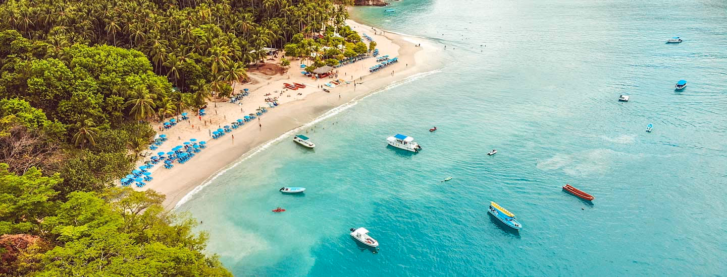 ¿Cuándo se puede visitar la playa para ver las tortugas marinas?