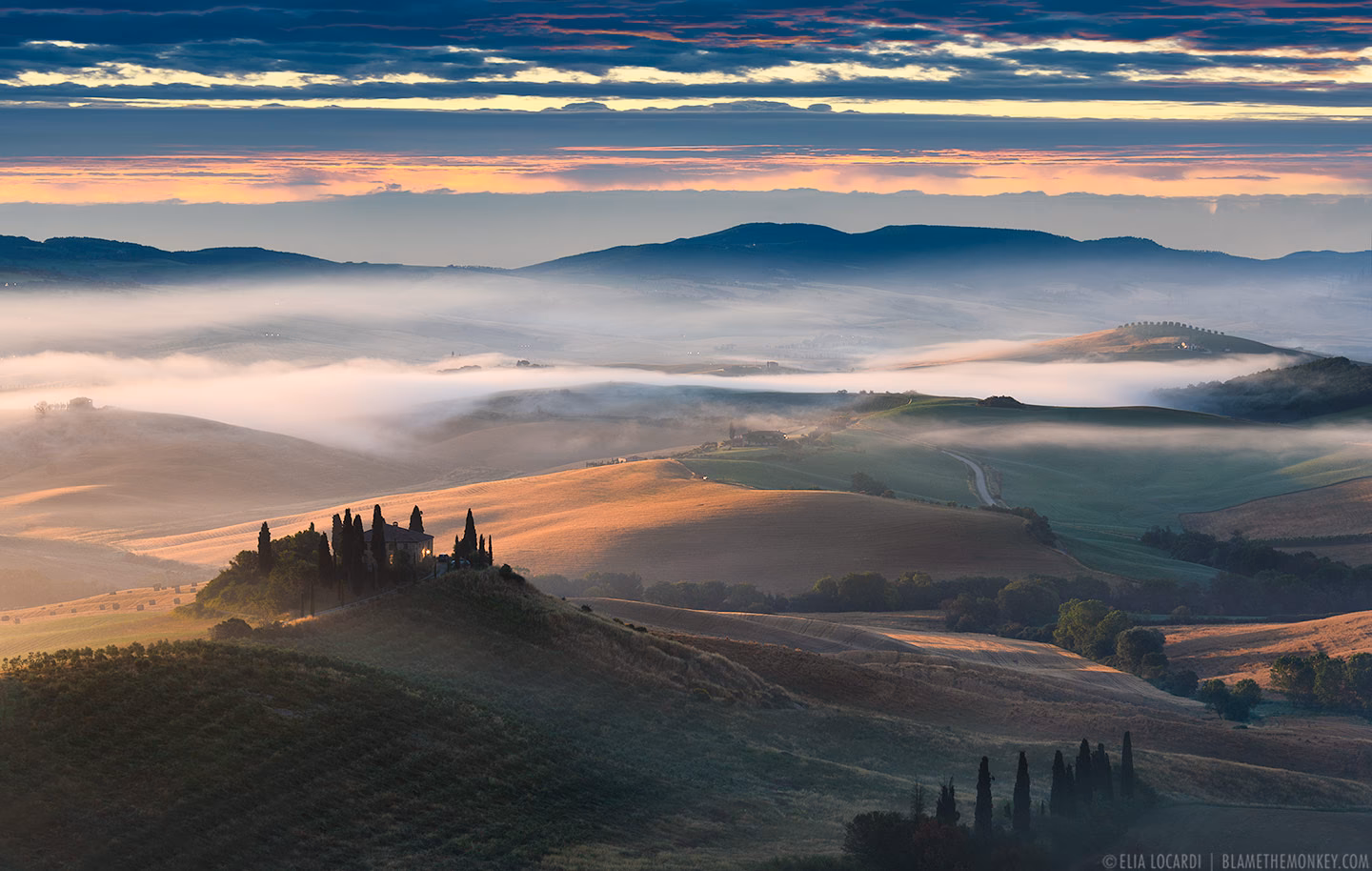 Who is italfog?