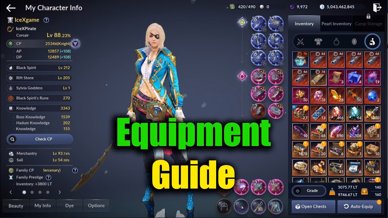 What can you do in Black Desert?