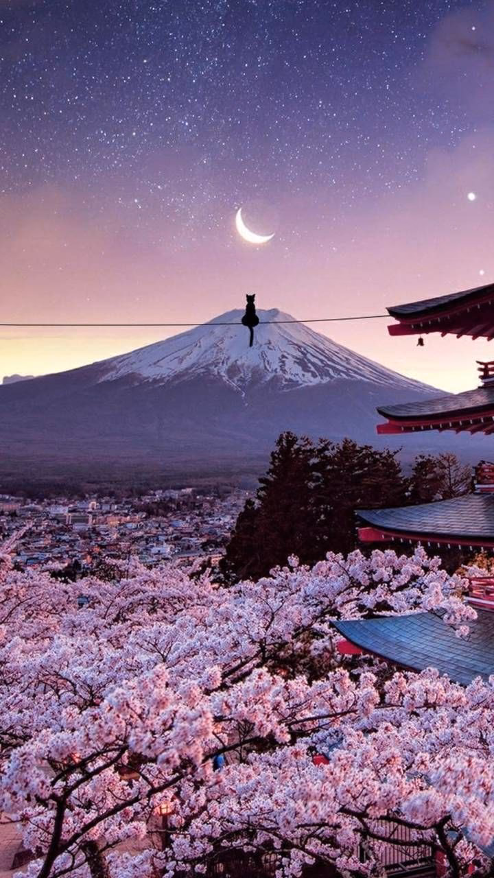 Where can I download Japanese coloring pages?