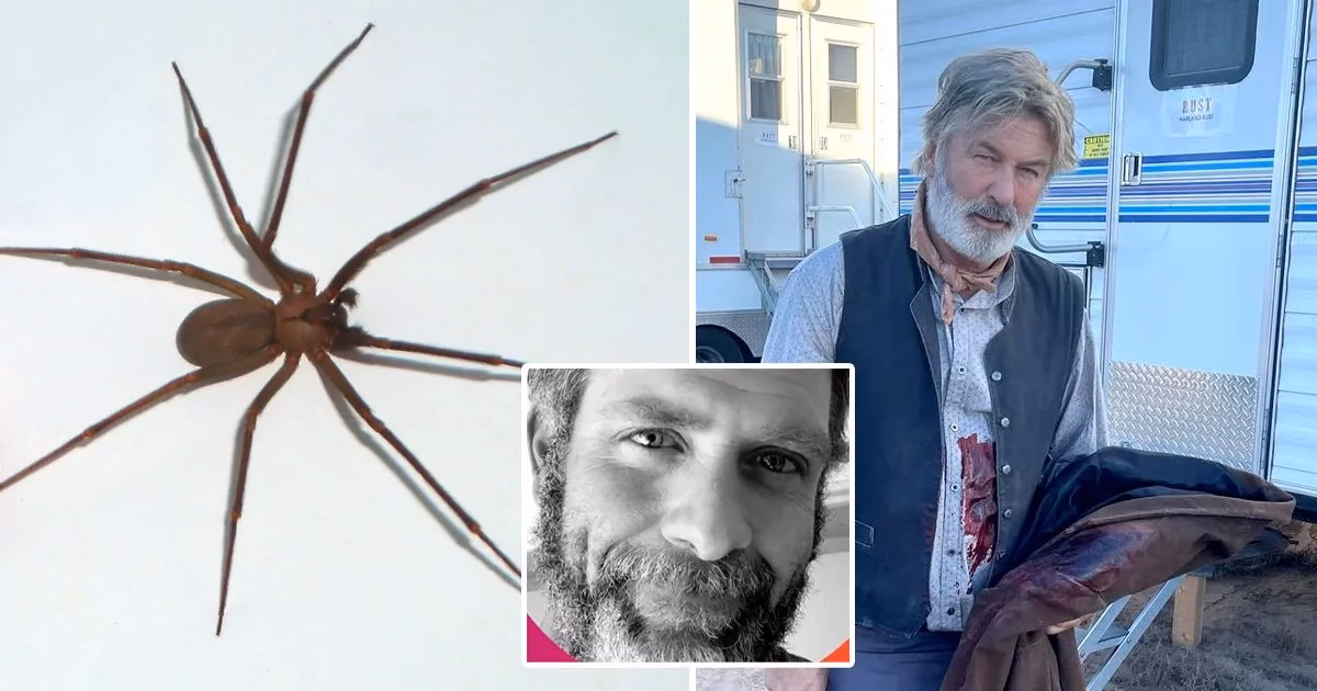 Did Jason Miller get bitten by a spider on 'Rust'?