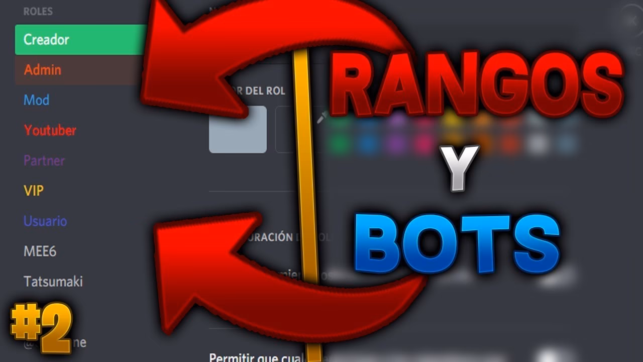 ¿Qué son los roles en Discord?