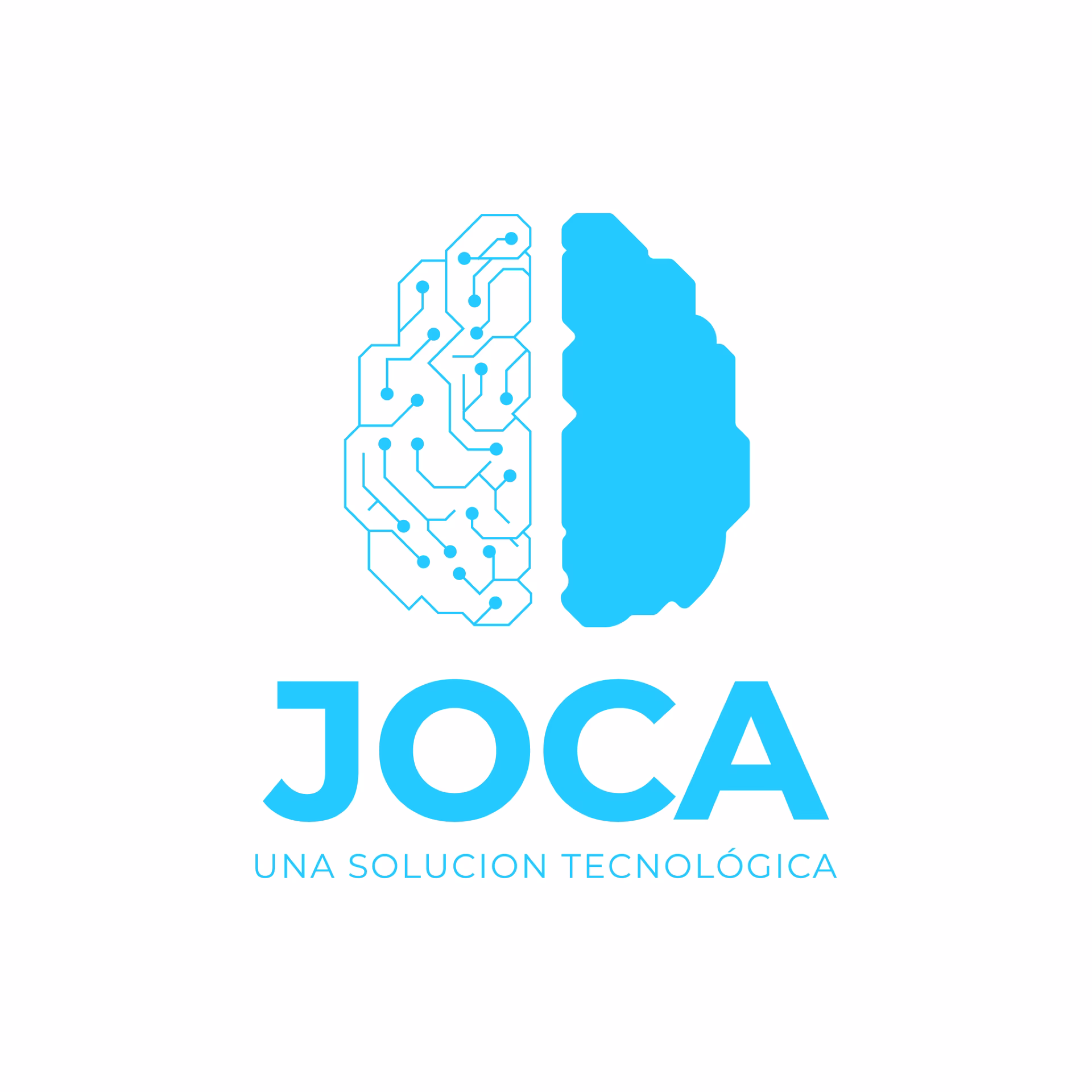 ¿Qué empresas conforman el Grupo Joca?