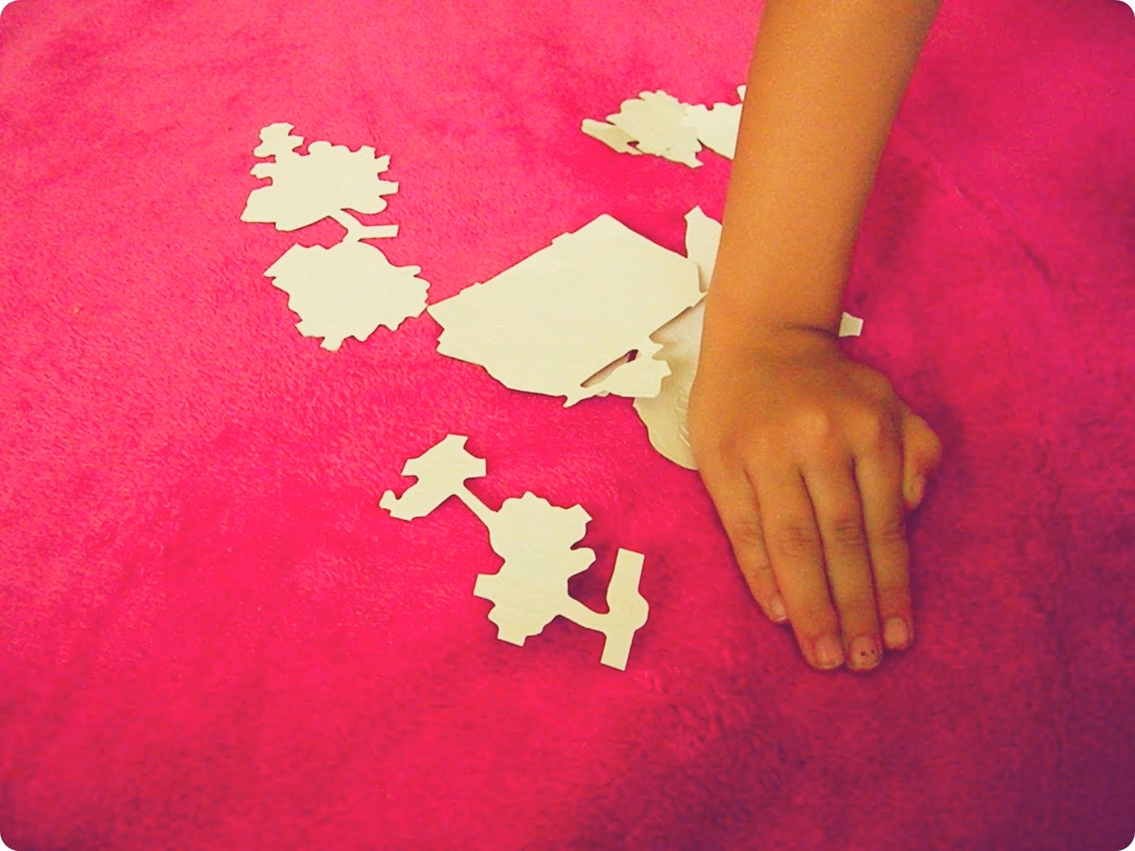 ¿Cómo se colocan los cromos?