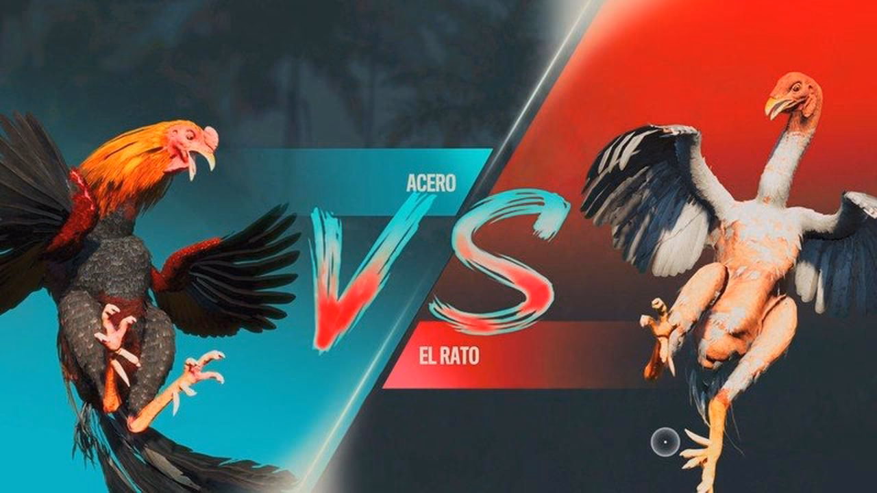¿Cómo obtener una victoria en el juego de pelea de gallinas?