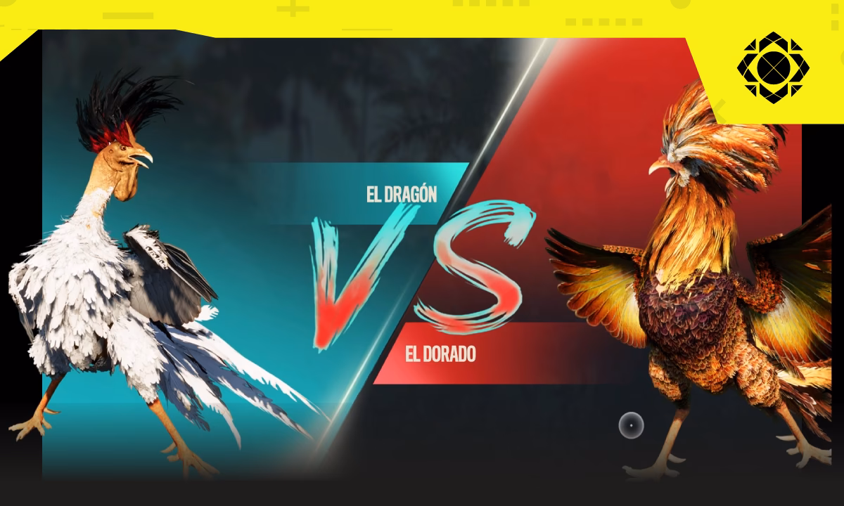 ¿Qué son los juegos de gallinas?