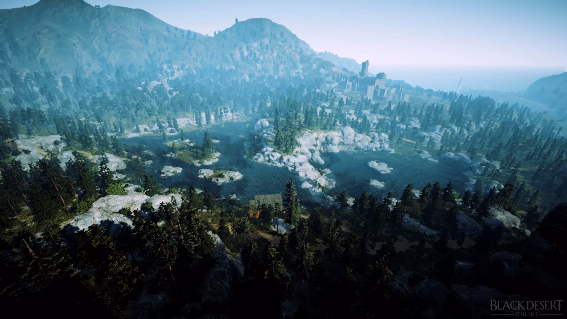 What is Black Desert Online?