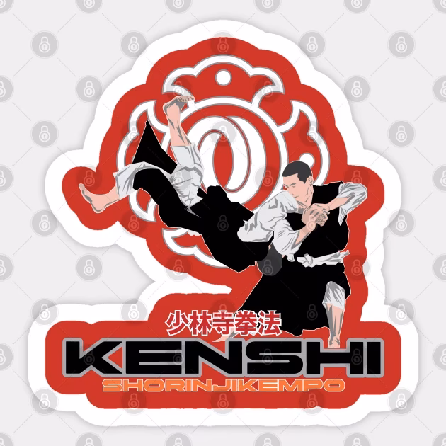 ¿Qué es el shorinji kempo?