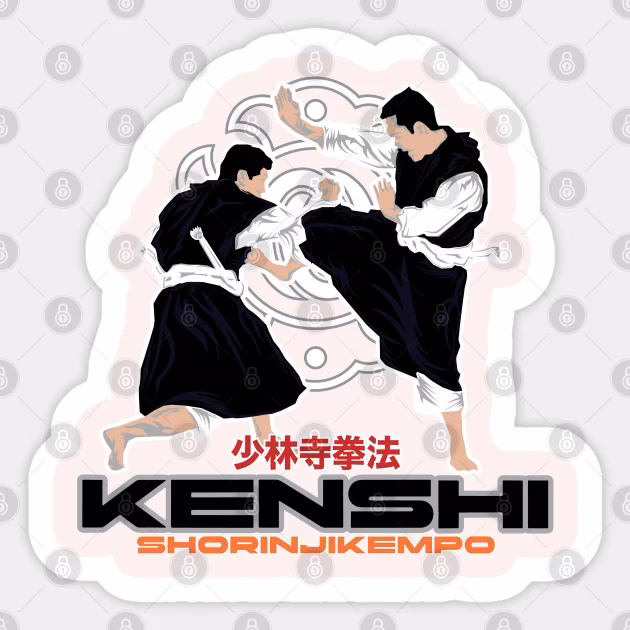¿Qué es el shorinji kempo?