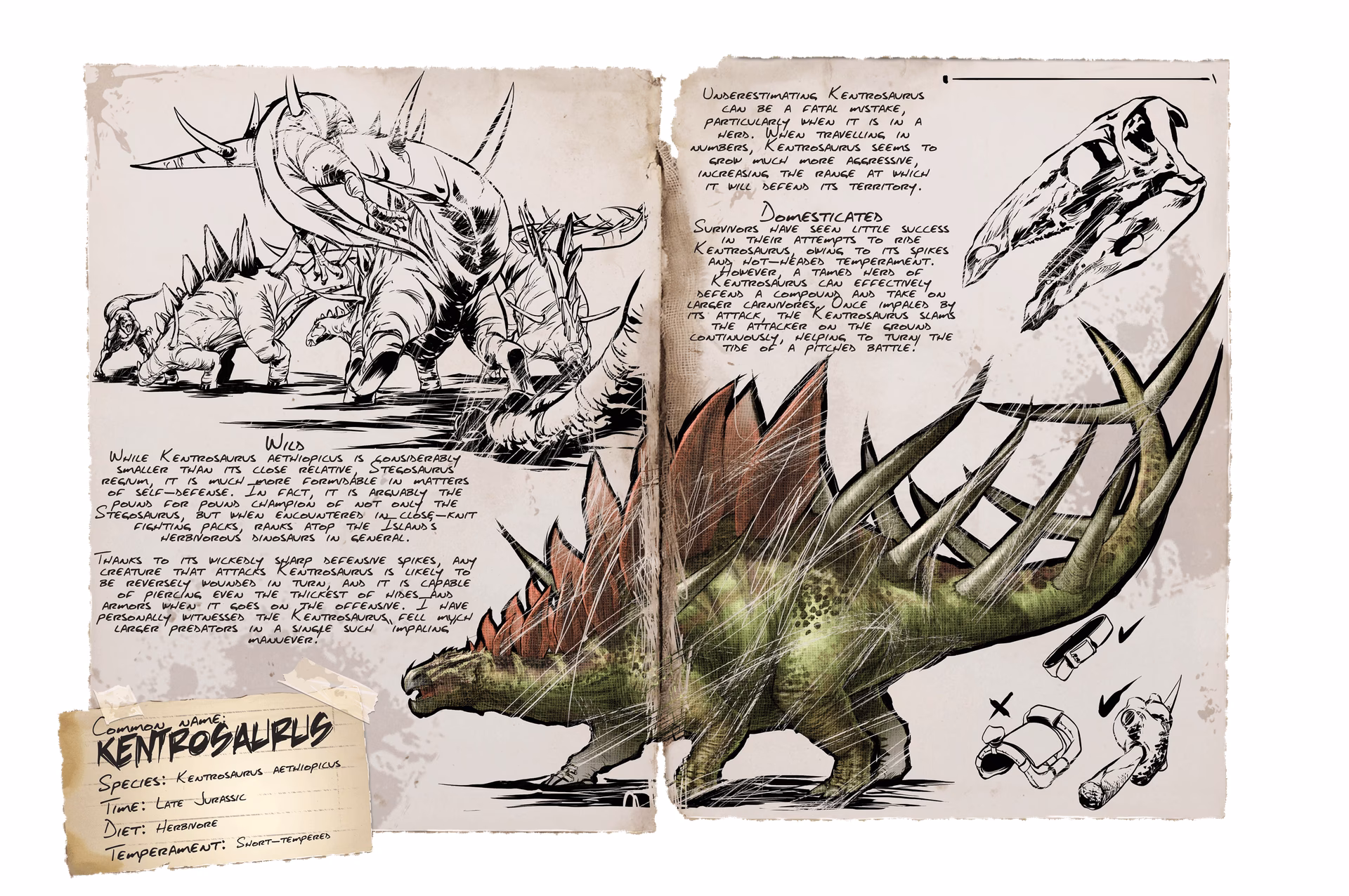 Can You saddle a Kentrosaurus?