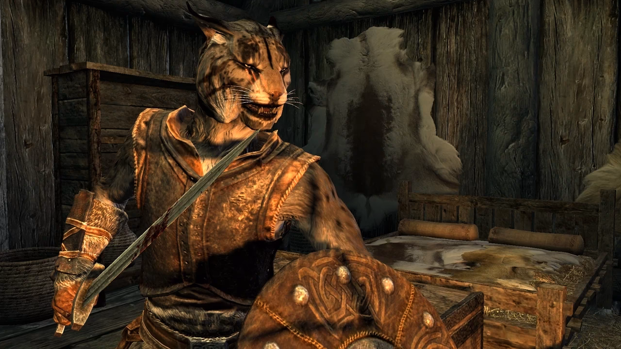 Why is Khajiit a bad race in Skyrim?