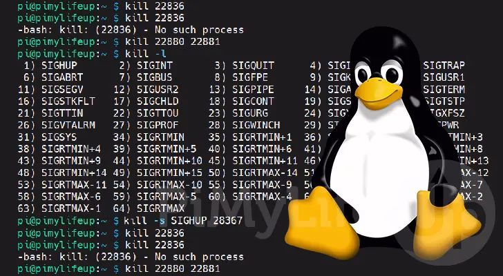 What is Kill Command in Linux?