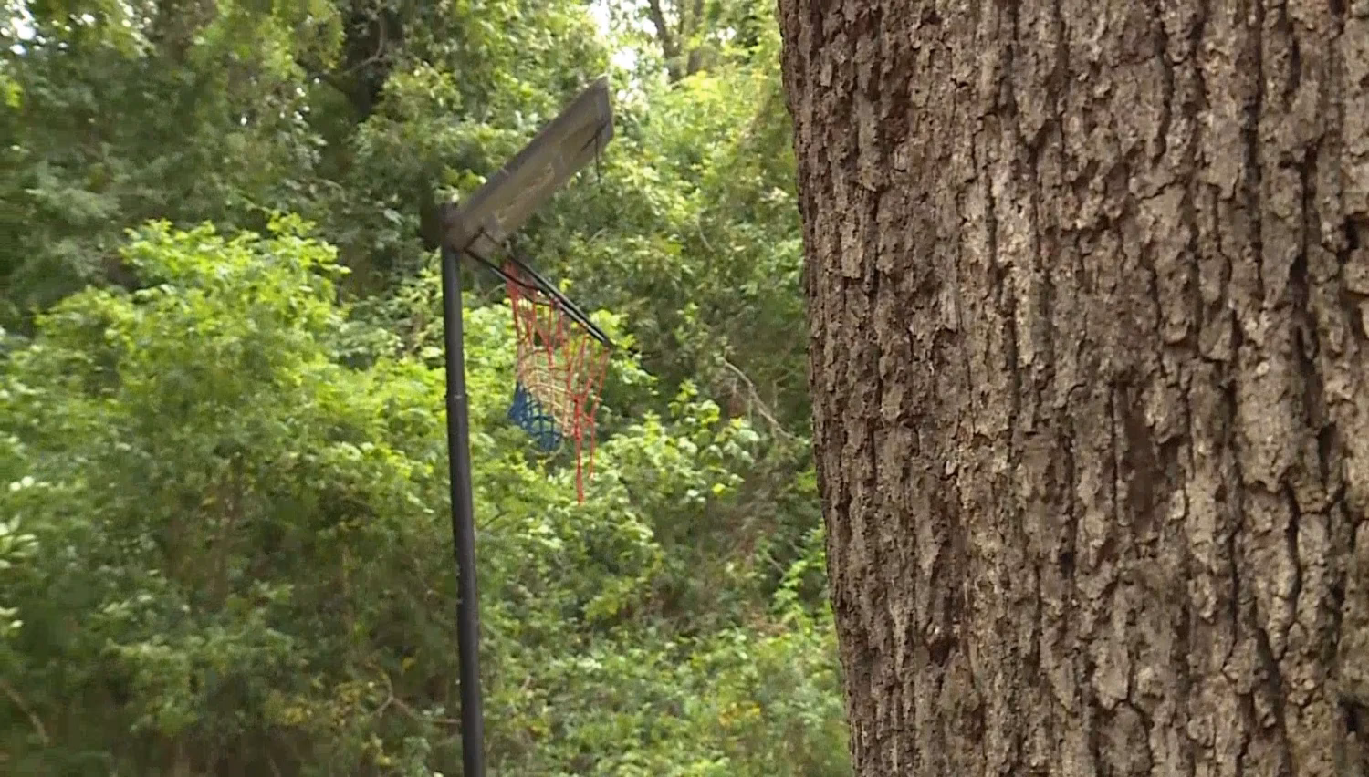 Is clowns in the woods a horror movie?