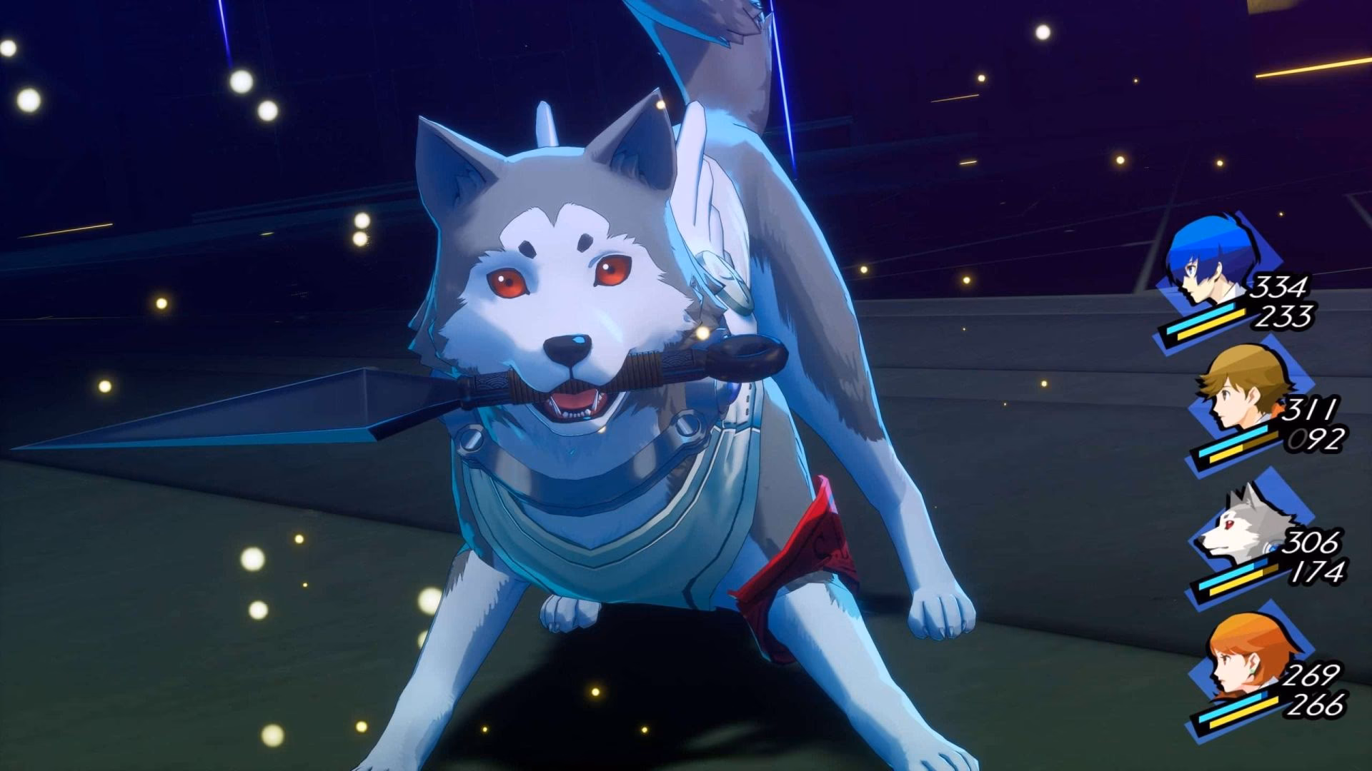 ¿Qué animal es Koromaru?