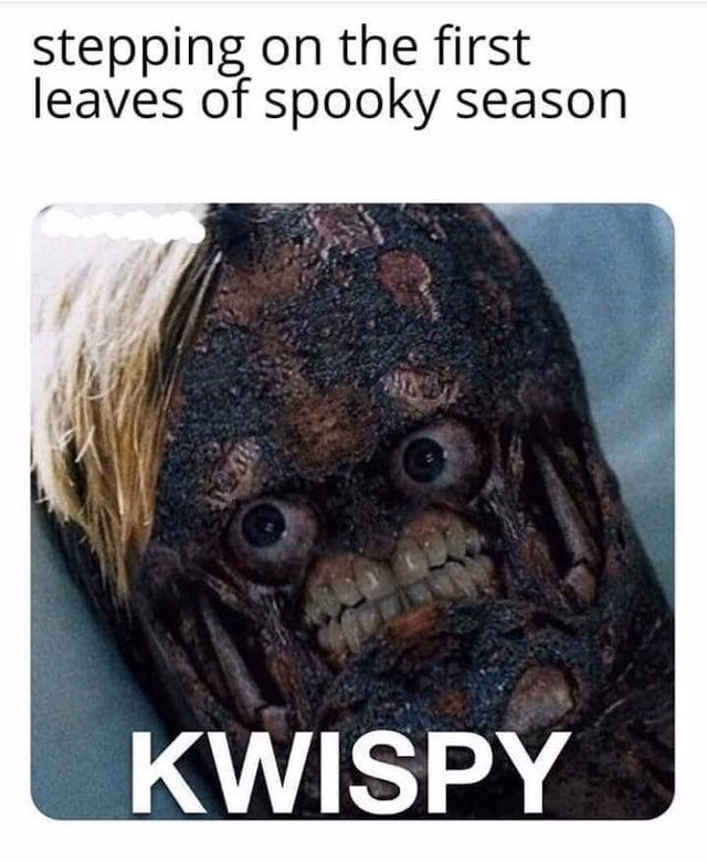 When did kwispy come out?
