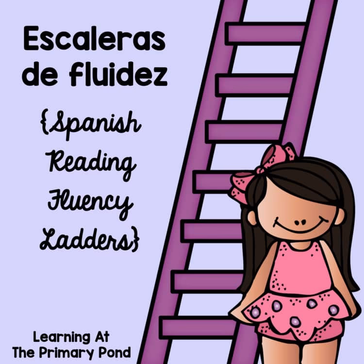 What is a word ladder?