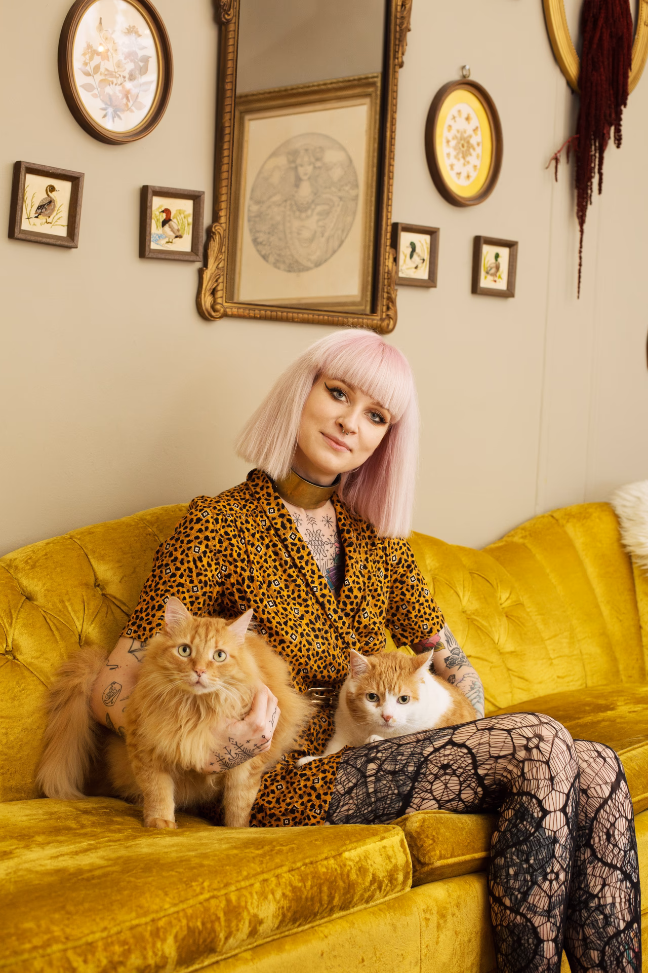Who is the Kitten Lady?