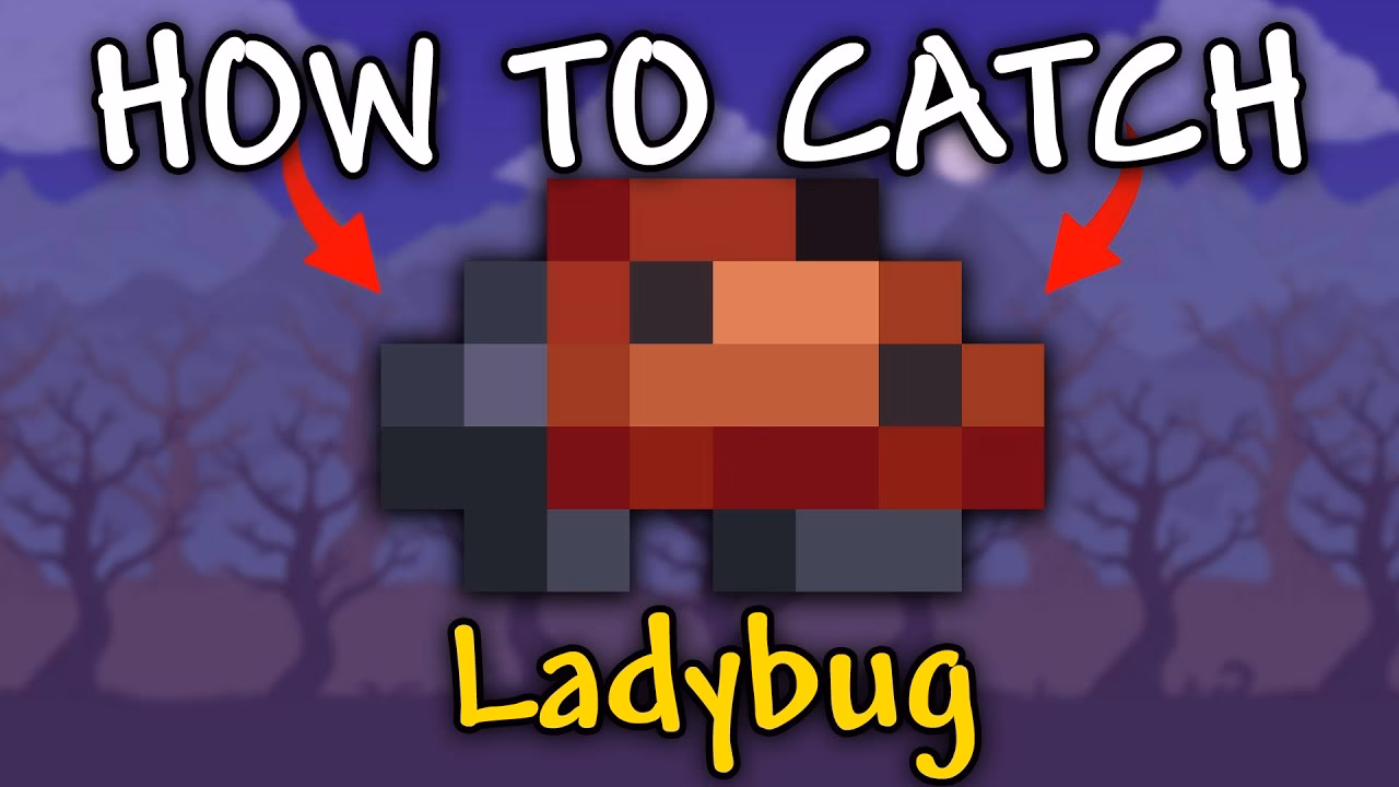 Where can I find Mushi Ladybug in terraria?